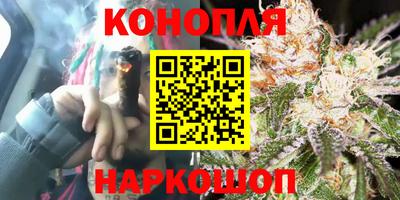 прущие крисы Гусиноозёрск